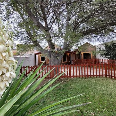 Ferienwohnung El Patio Del Aromo Puerto Madryn Exterior foto